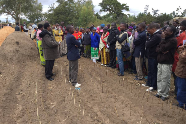 Farmer to farmer planting patterns and manure making- Dedza