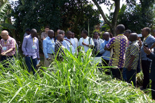 Field visits to Msigwa's farm